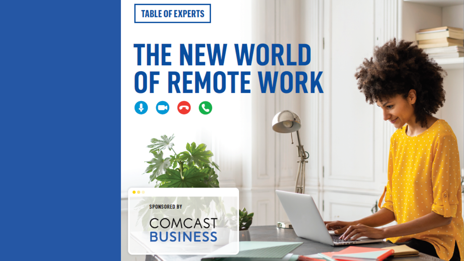 What Experts Say About Remote Work