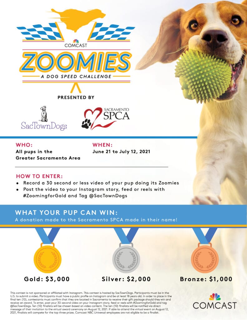 Comcast Zoomies Dog Speed Challenge Debuts to Support Sacramento SPCA
