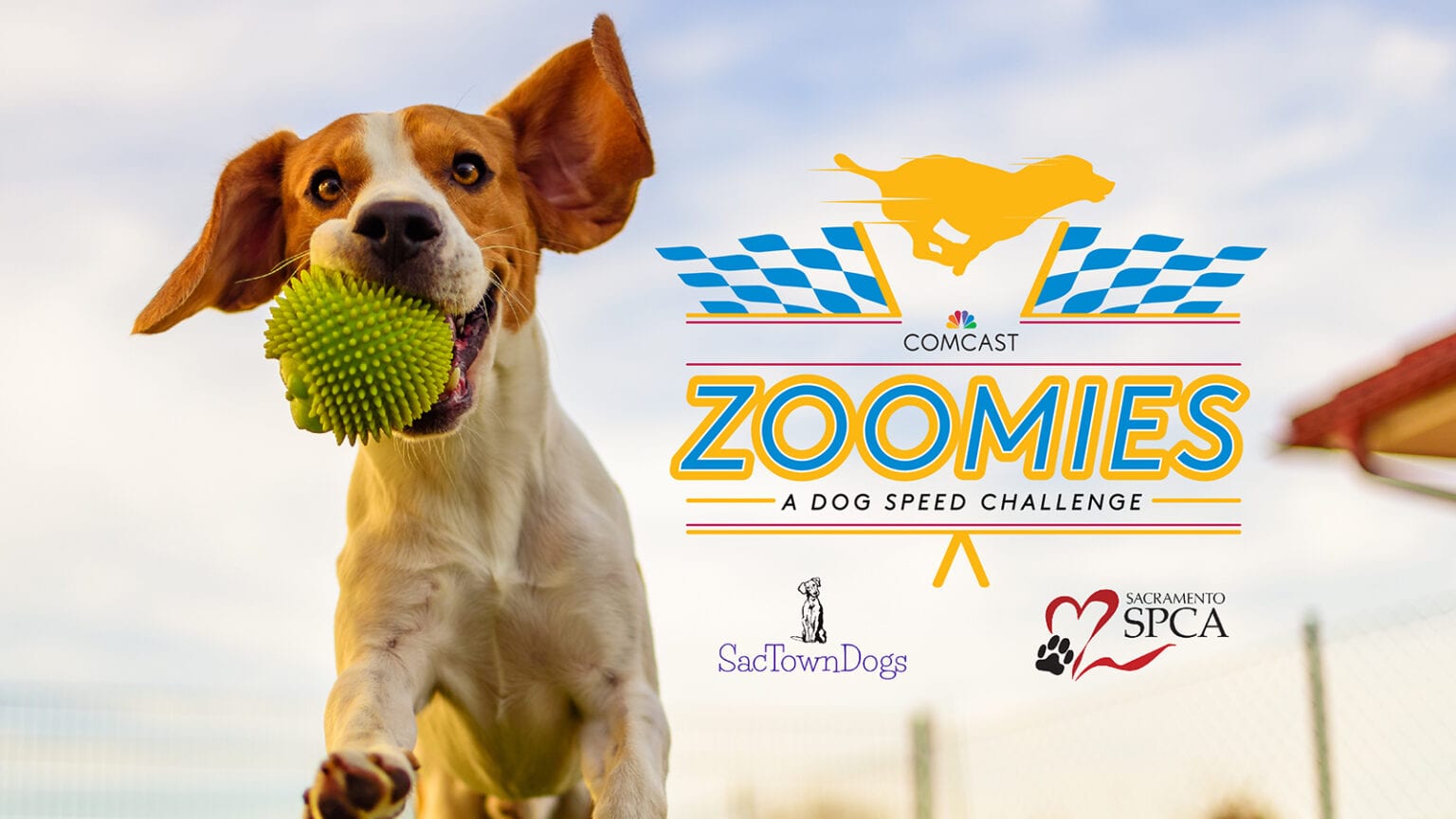 Comcast Zoomies Dog Speed Challenge Debuts to Support Sacramento SPCA