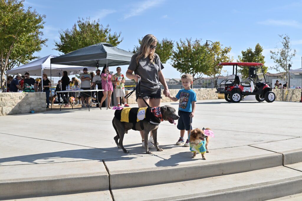 A mother and son hold hands and walk their two dogs in Halloween costumes on the amphitheater at Tesoro Viejo
