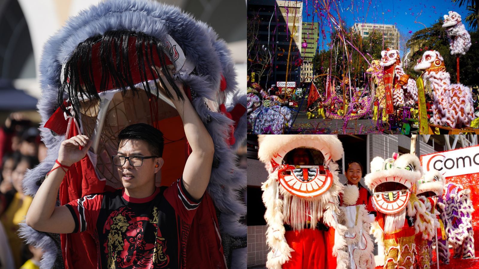 The Culture, Art, and Sport of Lion Dance