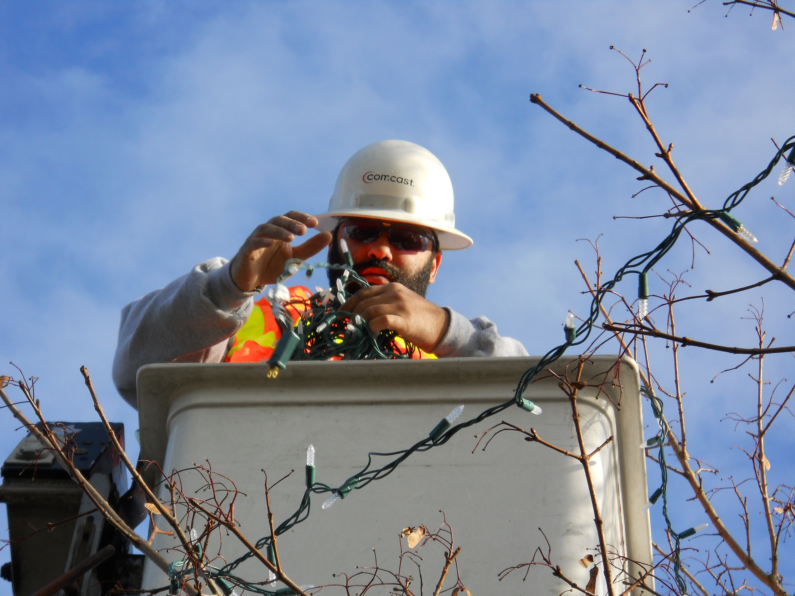 technician Kevin Brown puts lights on a tree