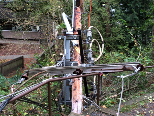 pole damage