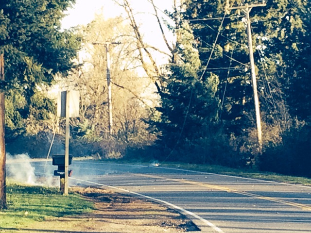 power line on fire in road