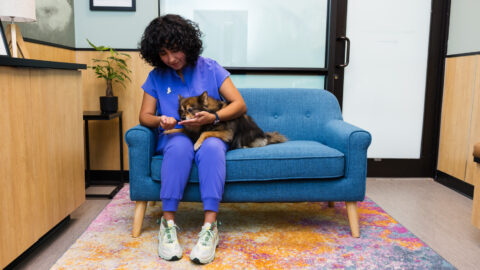 A Cara Veterinary employee sits with a dog on a couch.