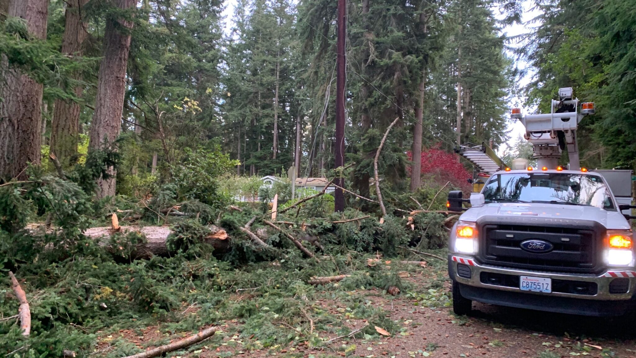 An Xfinity truck is parked with an Xfinity technician working next to downed trees.