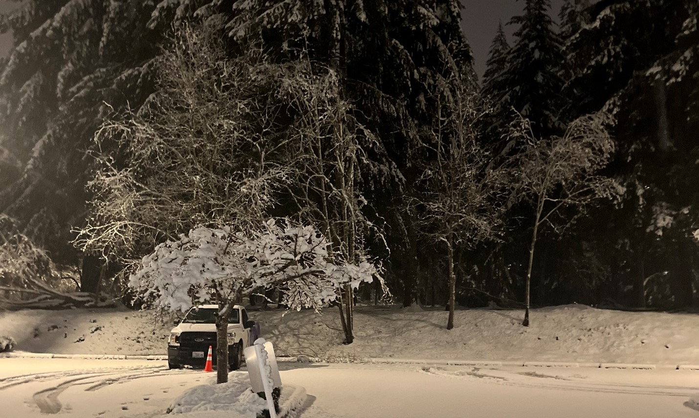 How to Keep Connected and Informed as Winter Storm Power Outages Impact Thurston and Lewis Counties   