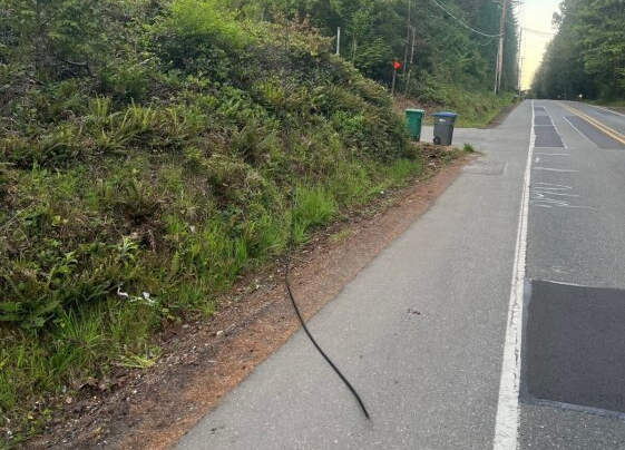 Vandalism Cause for Comcast Service Interruption in Kitsap County