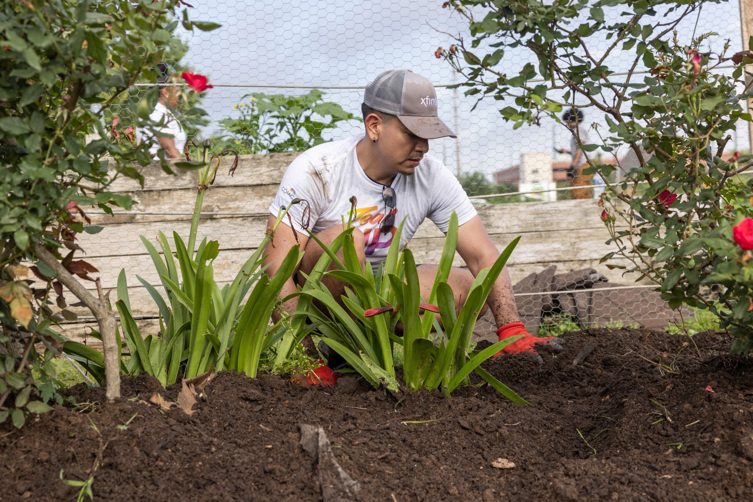 Volunteer wearing baseball cap bent low and working in garden bed
