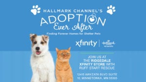 Promotional flyer for Hallmark Channel's Adoption Ever After event.