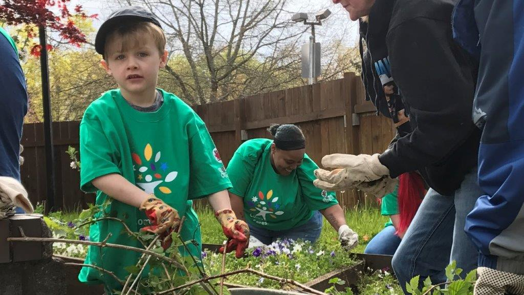 Comcast Cares Day volunteers clear away brush from a garden.