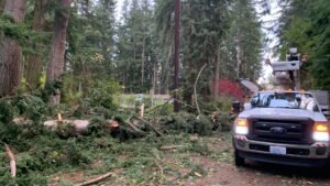 An Xfinity truck and technician are in the woods with downed trees.