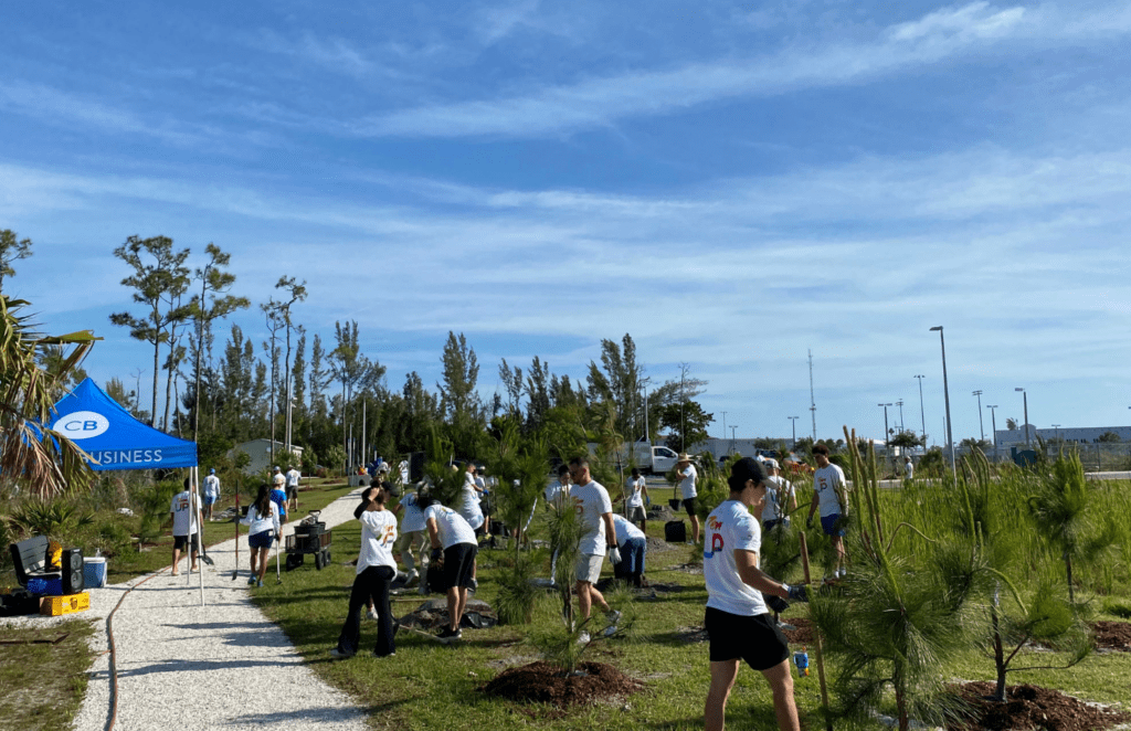 Volunteers plant trees at a park